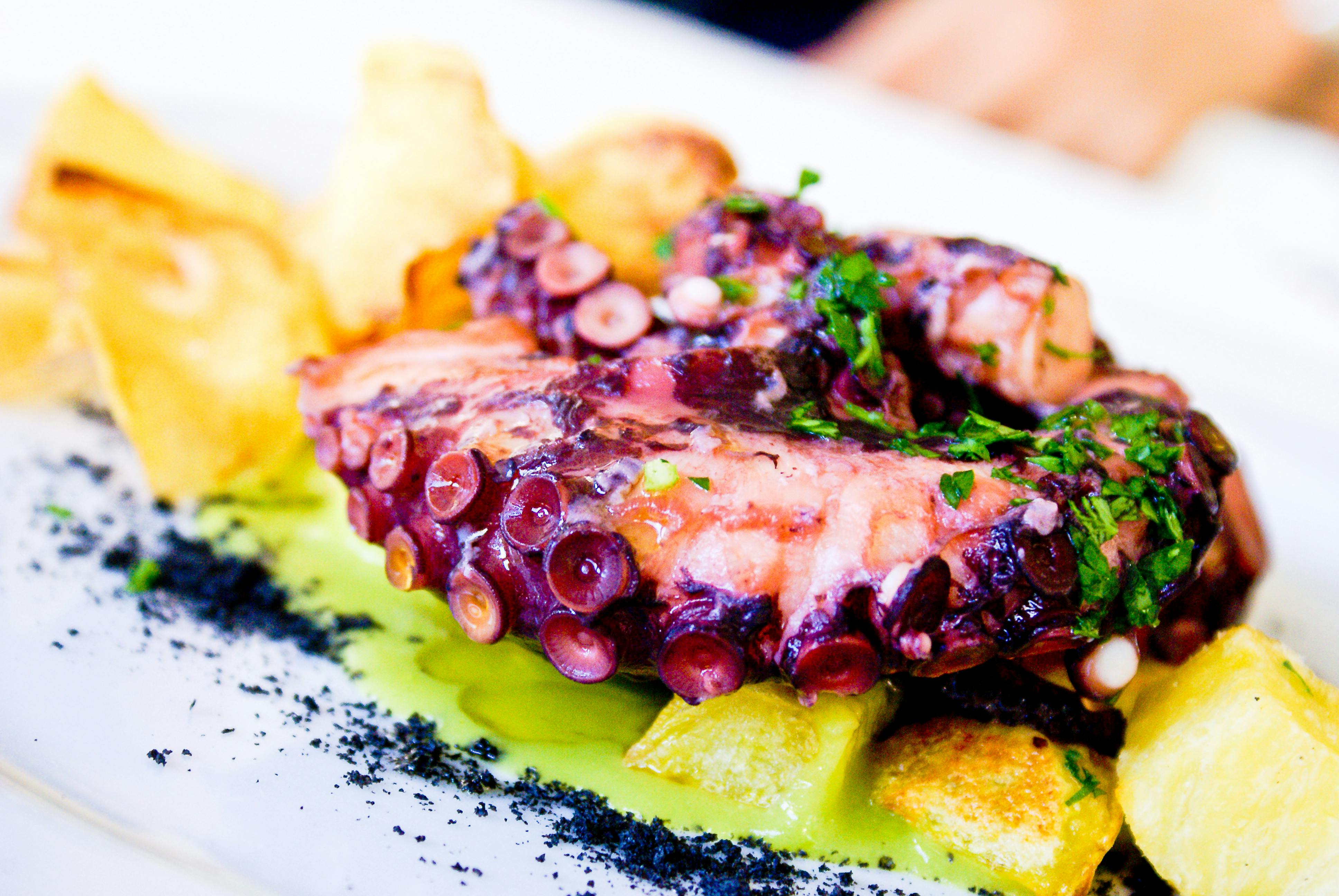 Octopus

